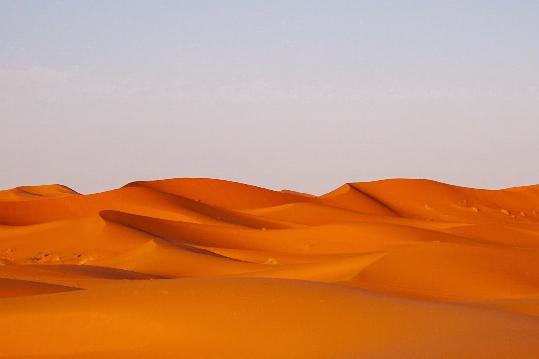 Curated Tour of Morocco