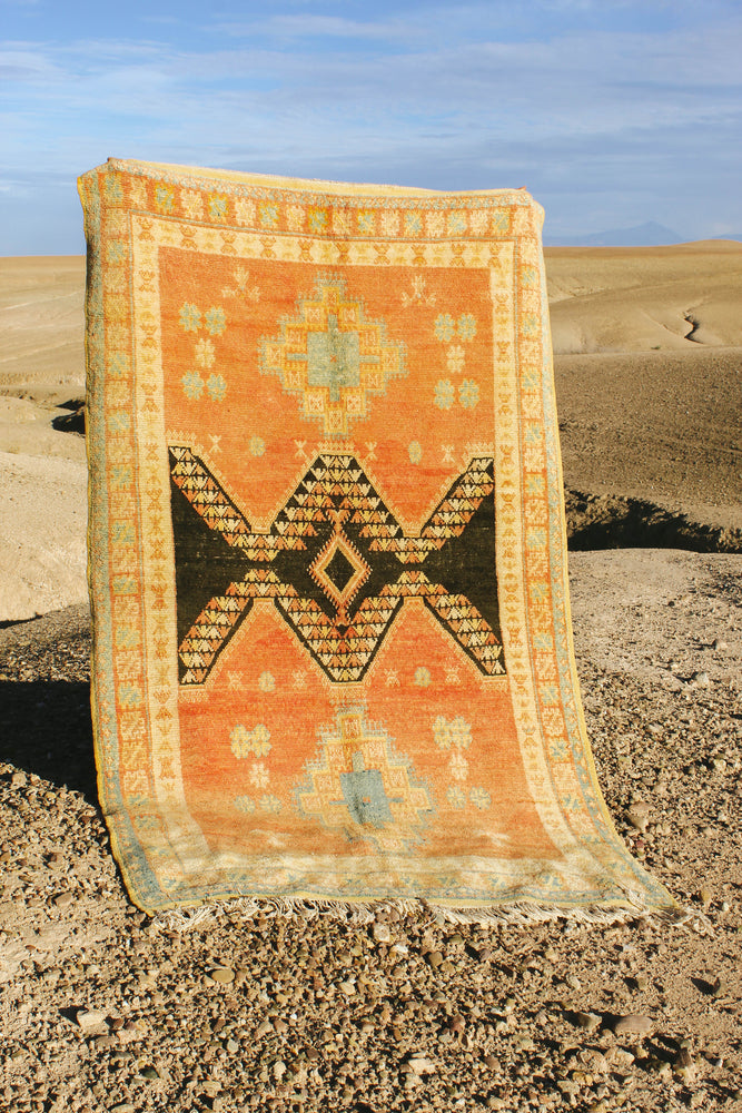 Mahello Emblematic Vintage Rug - Salam Hello